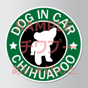 犬(チワプー)スタバ風 マグネット ステッカー 防水 車用【匿名配送】