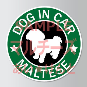 犬(マルチーズ )スタバ風 マグネット ステッカー 防水 車用【匿名配送】