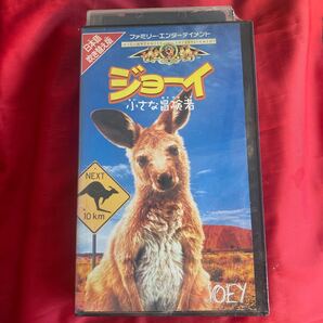 未DVD化 送料無料 中古VHSビデオテープ【ジョーイ 小さな冒険者】