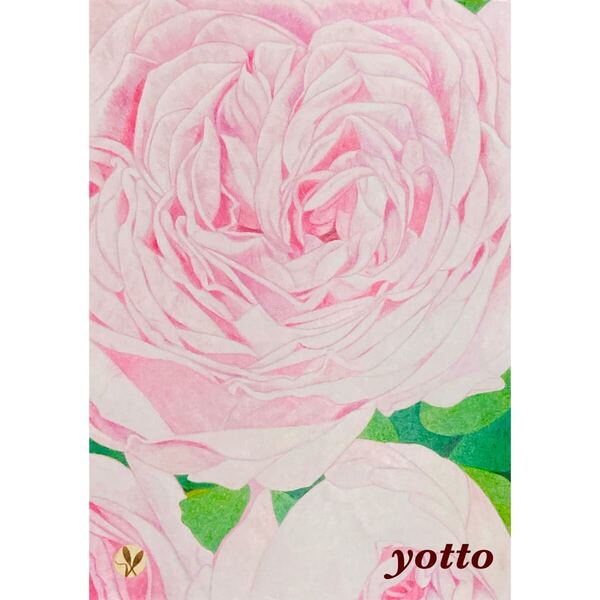 色鉛筆画「 彩・《25》〜 薔薇 〜 」B5・額付き◇◆手描き◇原画◆薔薇◇◆yotto