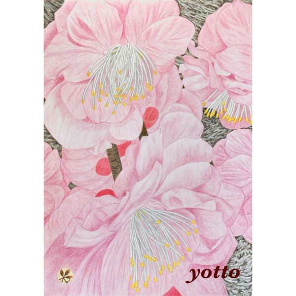 色鉛筆画「 彩・《16》〜 梅 〜 」B5・額付き◇◆手描き◇原画◆梅◇◆yotto