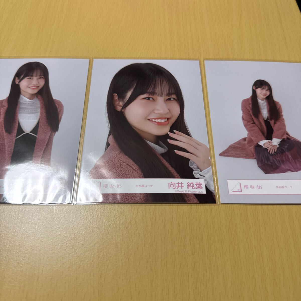 向井純葉直筆サイン三期生ブックレット衣装ヒキ座り