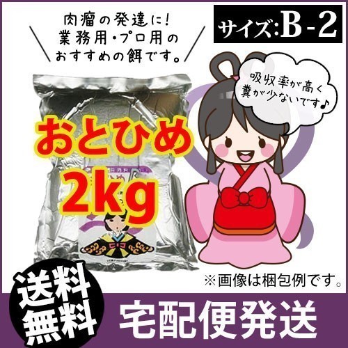 2025年最新】Yahoo!オークション -おとひめb2の中古品・新品・未 2025年最新】Yahoo!オークション -おとひめb2の中古品・新品・未