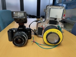 Yahoo!オークション -「canon eos kiss panorama」の落札相場 Yahoo!オークション -「canon eos kiss panorama」の落札相場