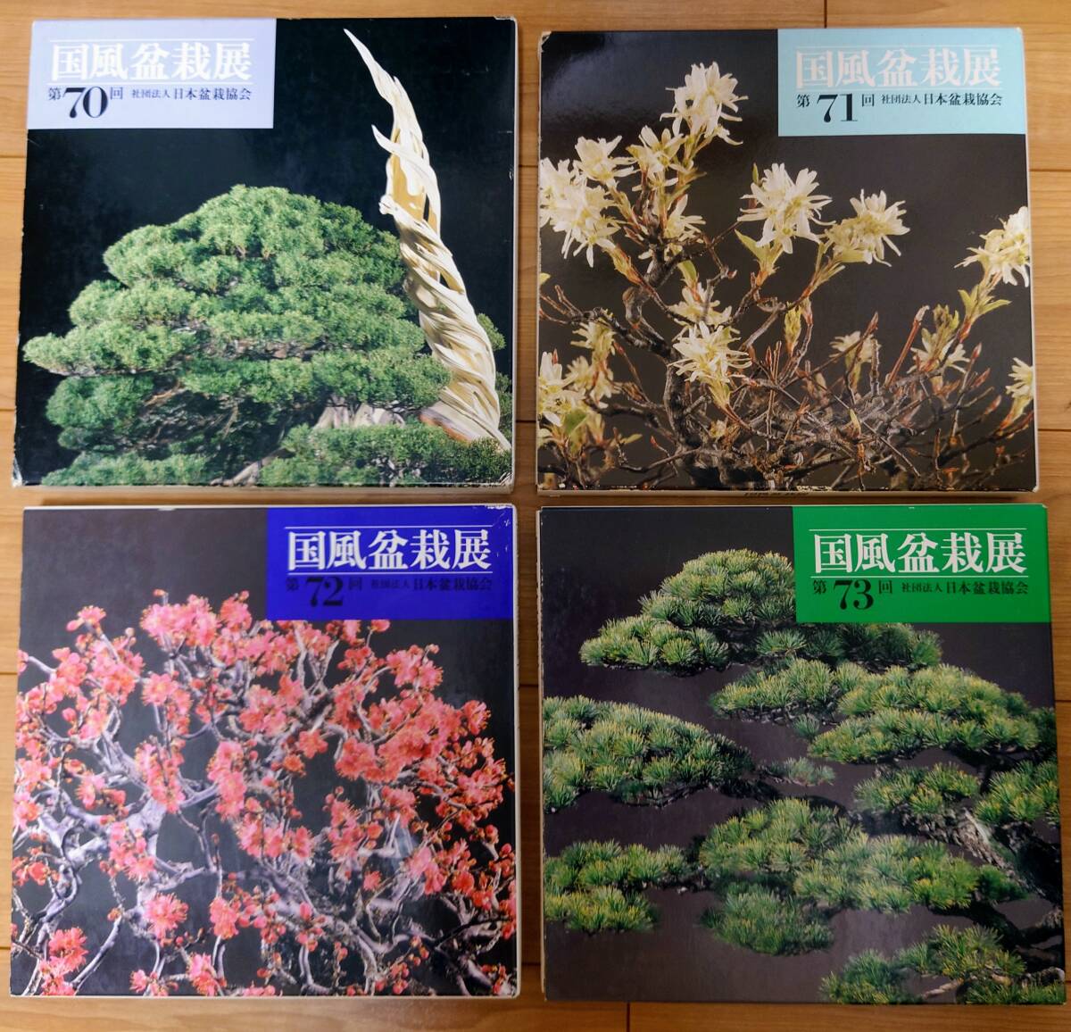 Yahoo!オークション -「国風 盆栽展」(本、雑誌) の落札相場 Yahoo!オークション -「国風 盆栽展」(本、雑誌) の落札相場