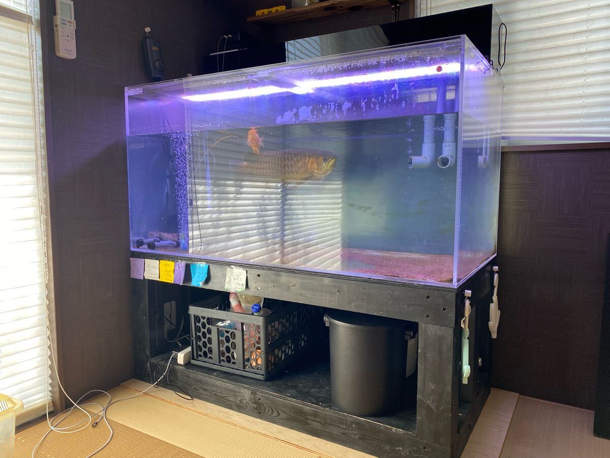 Yahoo!オークション -「120水槽セット」の落札相場・落札価格 Yahoo!オークション -「120水槽セット」の落札相場・落札価格