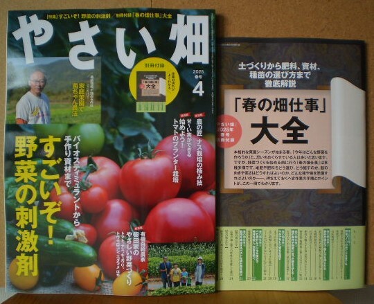 2025年最新】Yahoo!オークション -やさい畑の中古品・新品・未