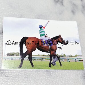 【競馬】エフフォーリア JRA calendar 当選品 写真部分 切り抜き ミニサイズ