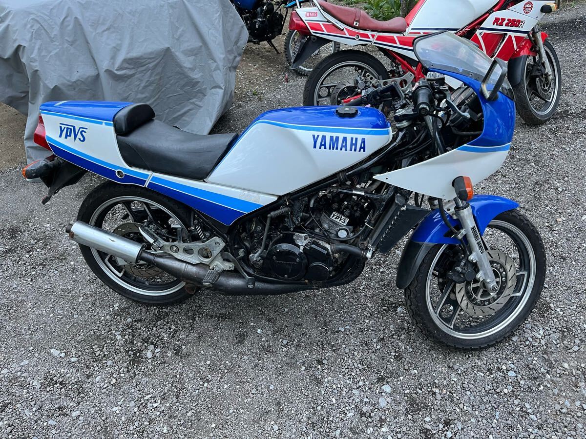 Yahoo!オークション -「rz250r 29l」(126cc-250cc) (ヤマハ)の Yahoo!オークション -「rz250r 29l」(126cc-250cc) (ヤマハ)の