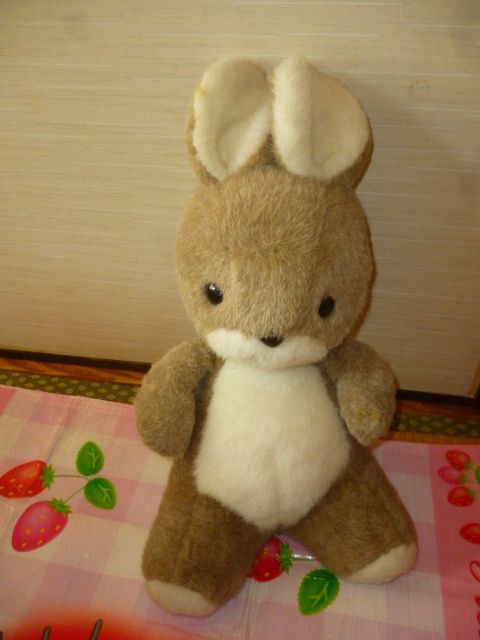 Yahoo!オークション -「サンアロー ラッキー」(ウサギ) (動物)の Yahoo!オークション -「サンアロー ラッキー」(ウサギ) (動物)の