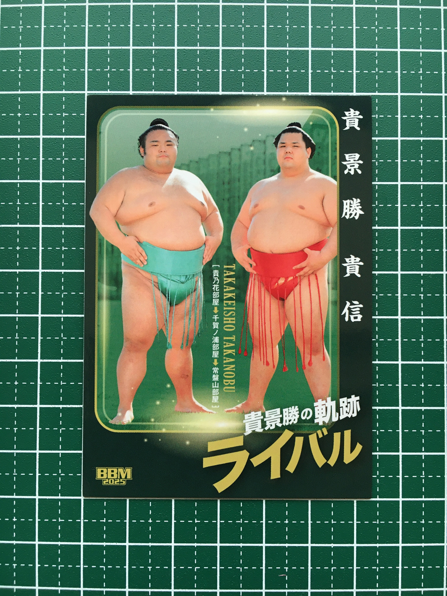2025年最新】Yahoo!オークション -貴乃花(アンティーク