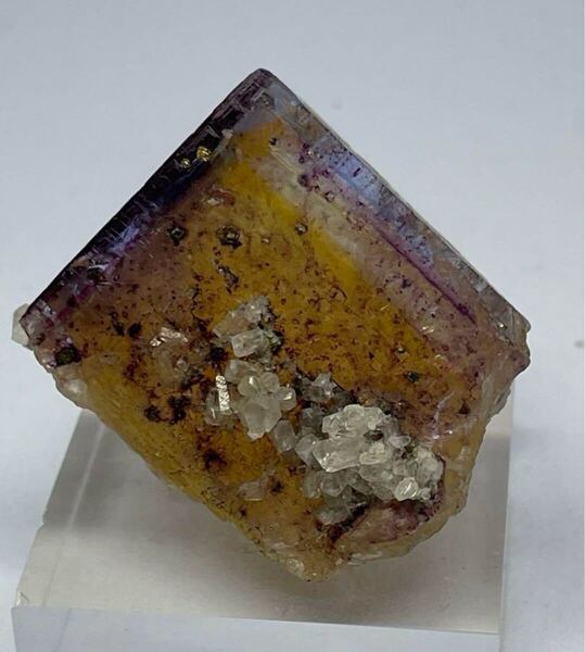 外国産鉱物 貴重 アメリカ ミネルヴァNo.1 フローライト 標本 結晶 蛍石 閉山