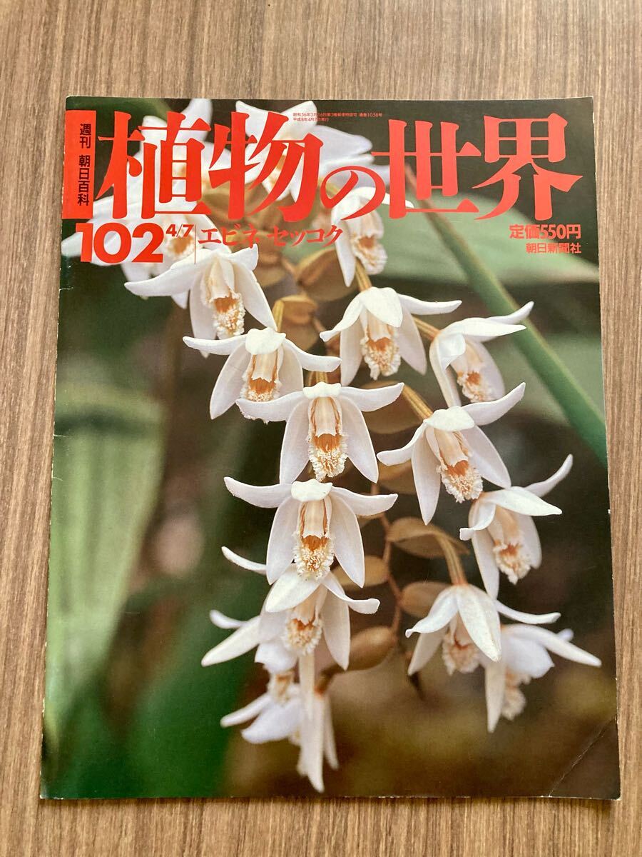 2025年最新】Yahoo!オークション -朝日百科 植物の世界の中古品 2025年最新】Yahoo!オークション -朝日百科 植物の世界の中古品