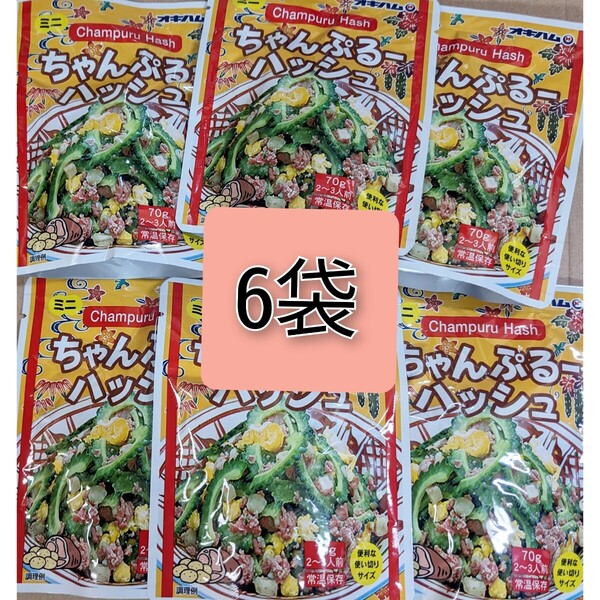 ちゃんぷるーハッシュ 6袋 オキハム レトルト 沖縄ソウルフード 沖縄お土産