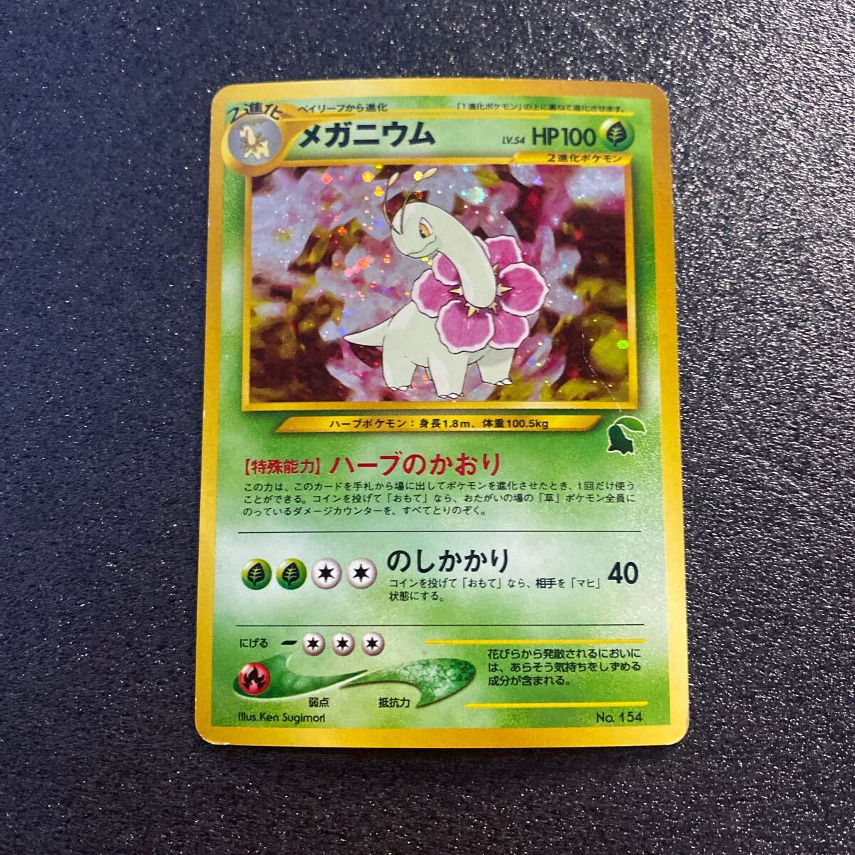 2025年最新】Yahoo!オークション -ポケモンカード メガニウムの 2025年最新】Yahoo!オークション -ポケモンカード メガニウムの