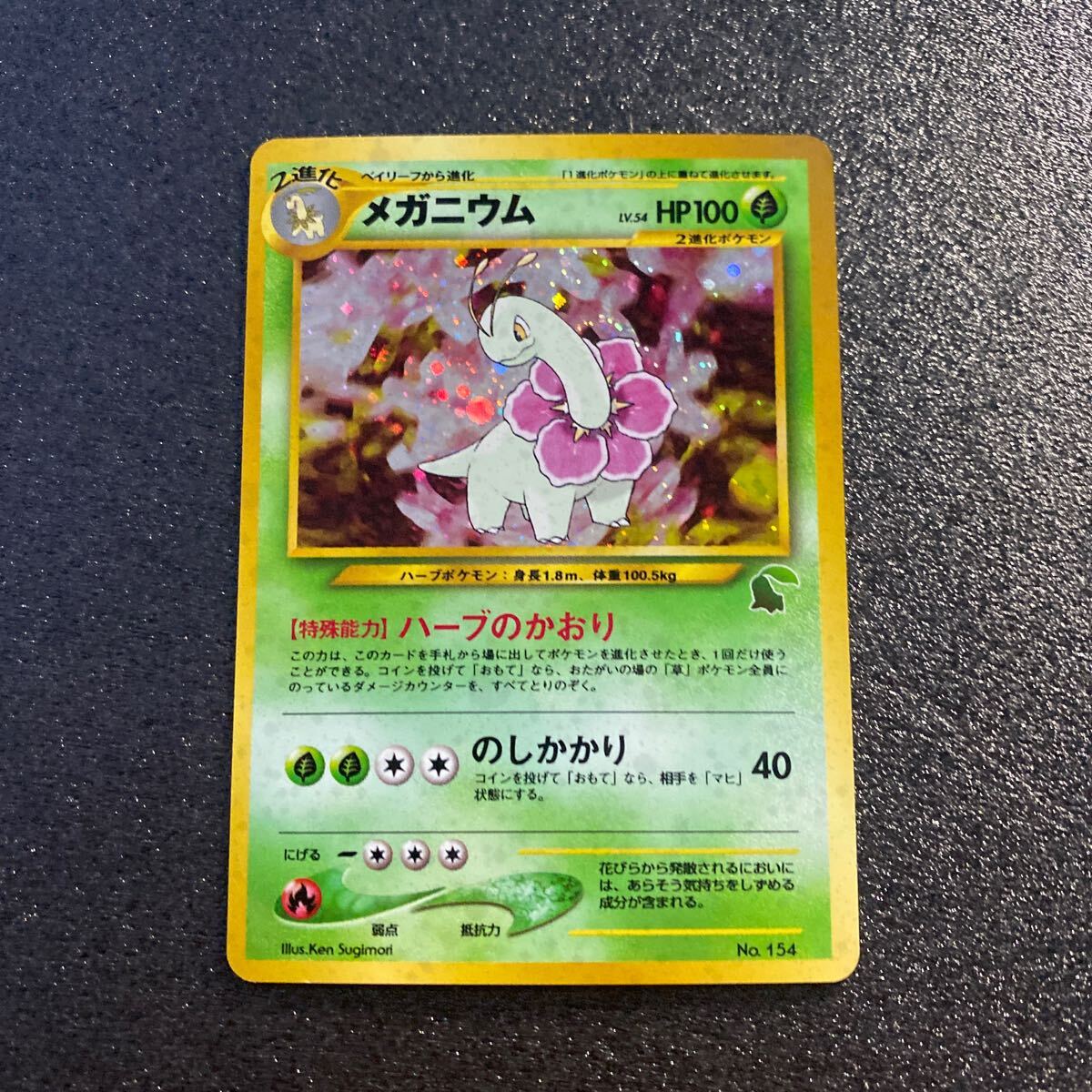 2025年最新】Yahoo!オークション -ポケモンカード メガニウムの 2025年最新】Yahoo!オークション -ポケモンカード メガニウムの