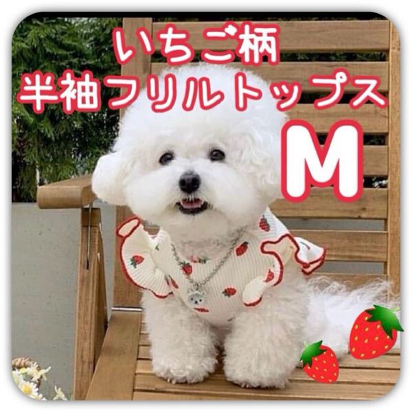 犬服 夏服 小型犬 いちご イチゴ柄 半袖 フリル袖 フリル トップス シャツ 白 ホワイト Mサイズ M