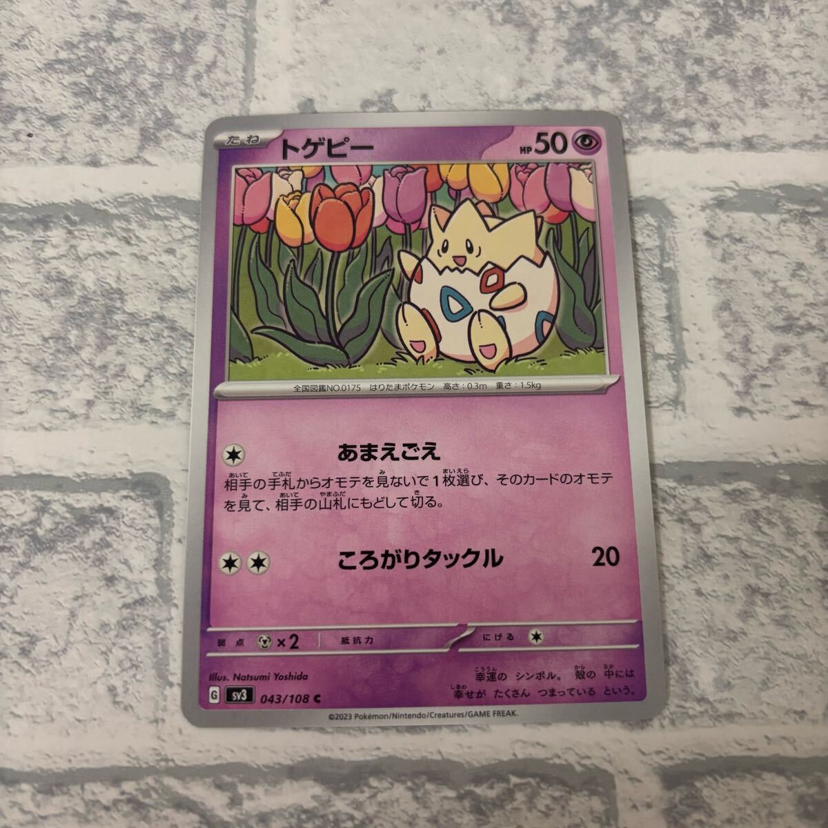 2025年最新】Yahoo!オークション -トゲピー ポケモン 2025年最新】Yahoo!オークション -トゲピー ポケモン