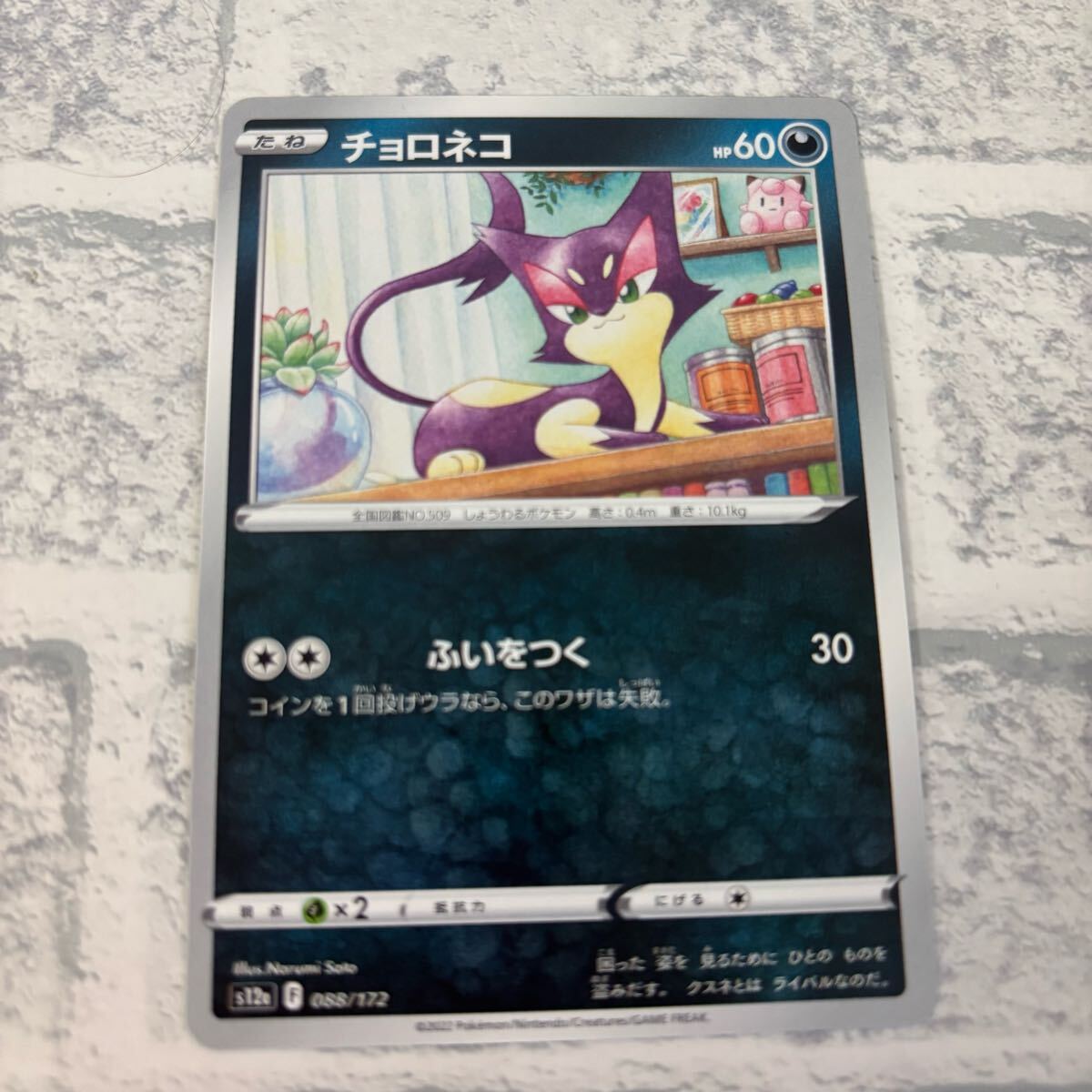 2025年最新】Yahoo!オークション -チョロネコ(ポケモンカード