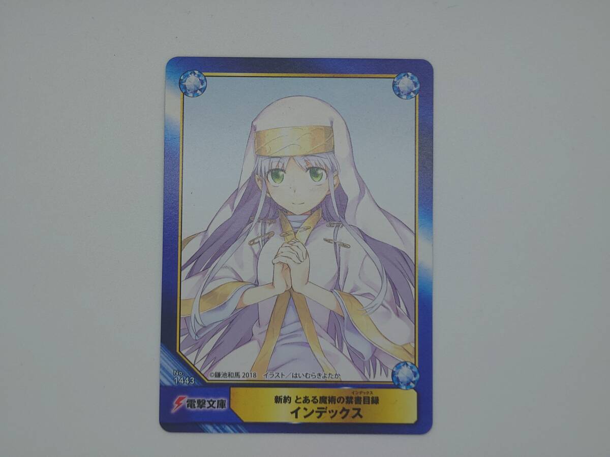 Yahoo!オークション -「とある魔術の禁書目録 新約」(その他) の