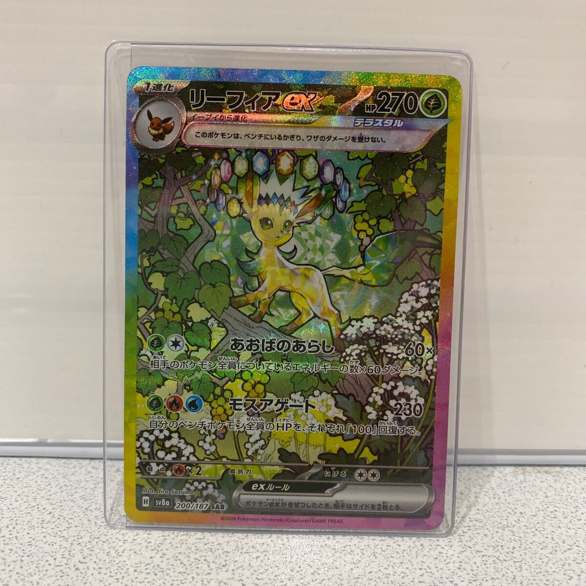 Yahoo!オークション -「ポケモンカード リーフィアex」の落札 Yahoo!オークション -「ポケモンカード リーフィアex」の落札