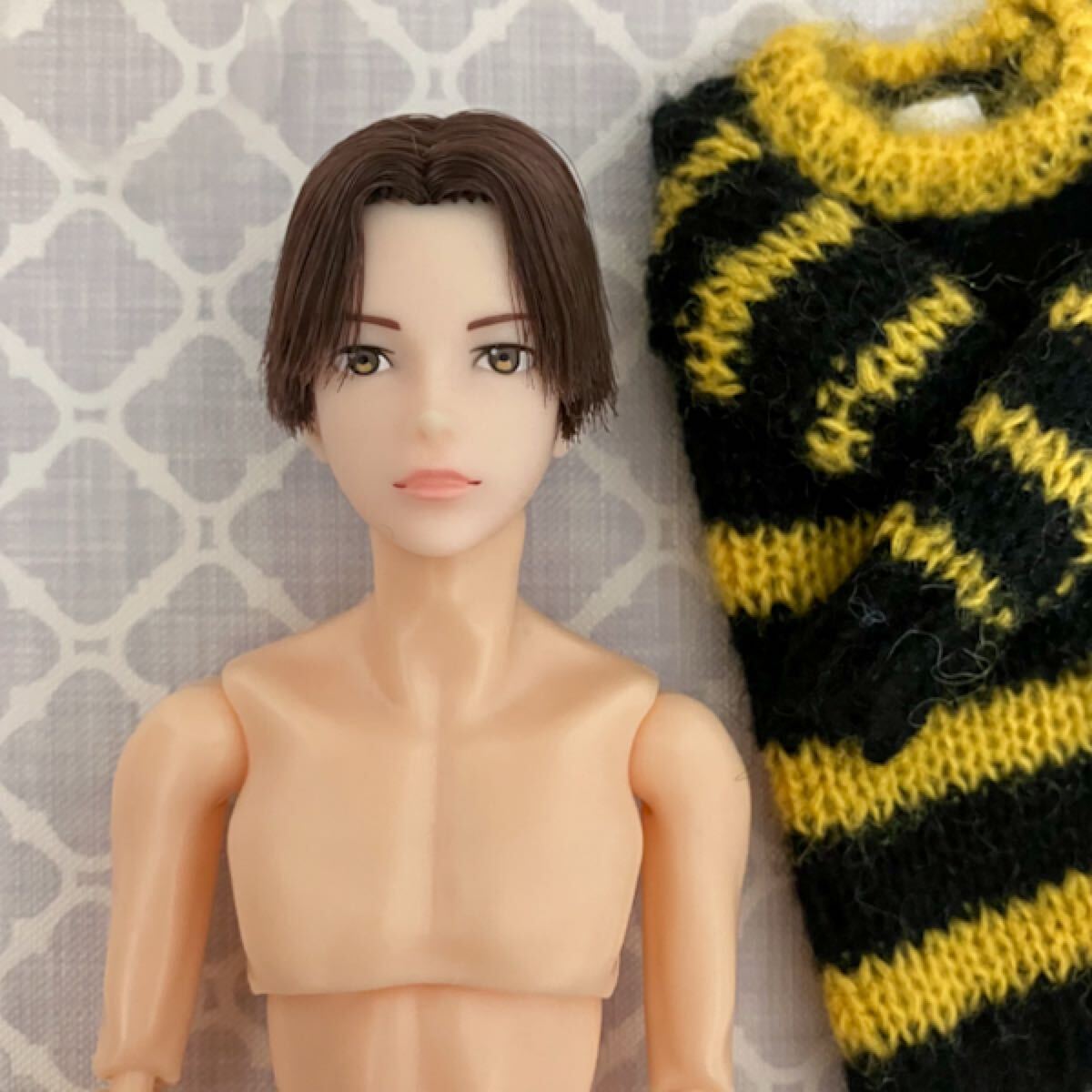 Yahoo!オークション -「六分の一男子図鑑」(momoko) (着せかえ Yahoo!オークション -「六分の一男子図鑑」(momoko) (着せかえ