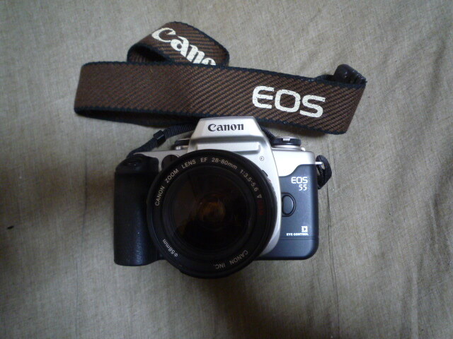 2025年最新】Yahoo!オークション -canon eos (ジャンク)の中古品 2025年最新】Yahoo!オークション -canon eos (ジャンク)の中古品