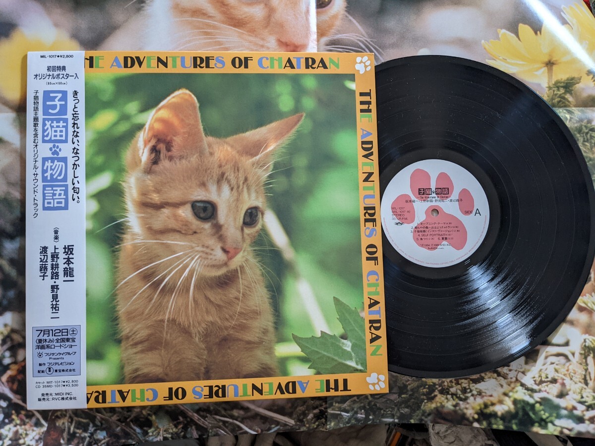 2025年最新】Yahoo!オークション -子猫物語(音楽)の中古品・新品 2025年最新】Yahoo!オークション -子猫物語(音楽)の中古品・新品