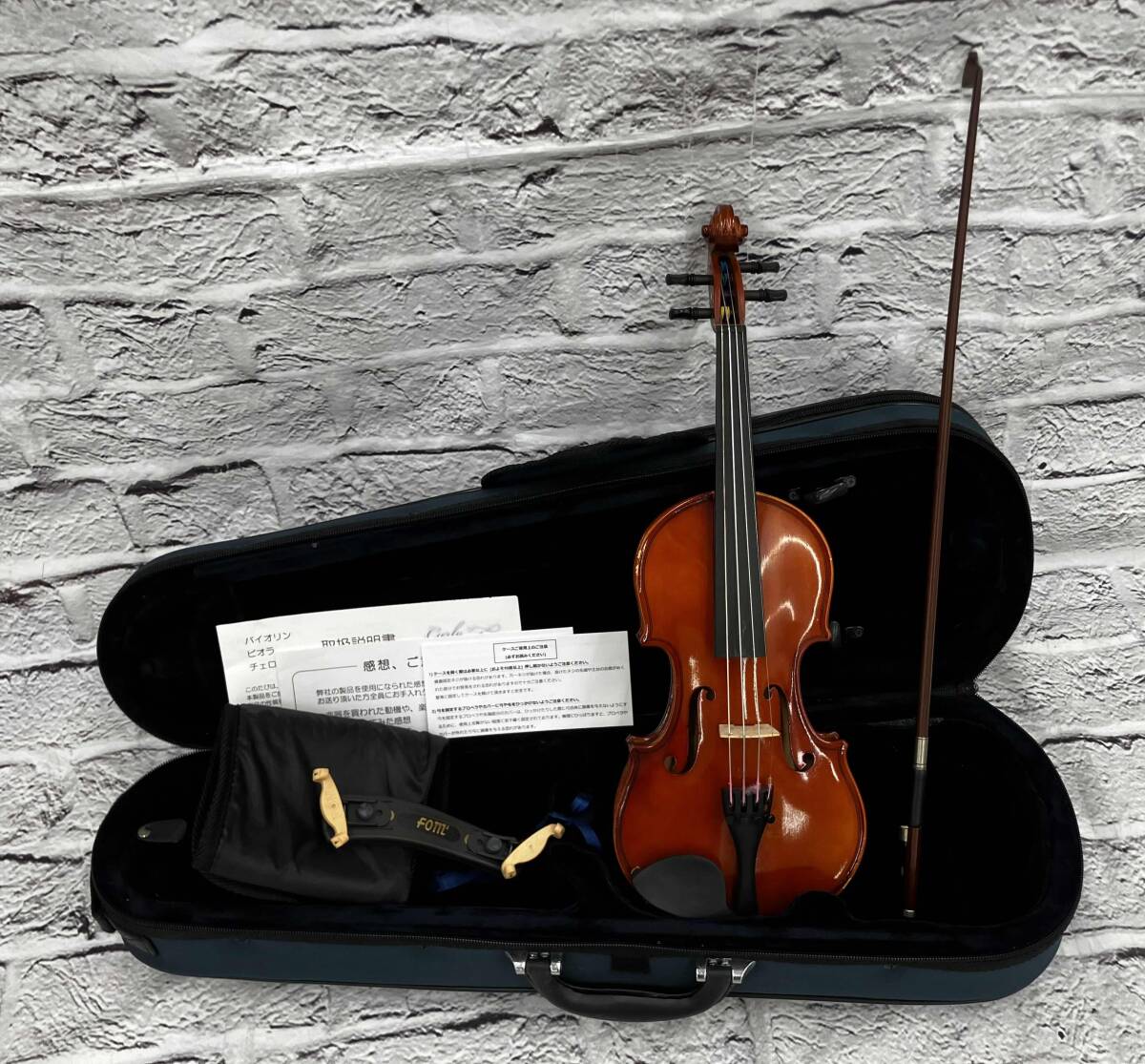 EASTMAN SVL80セット 4/4 バイオリン 初心者セット 【マイスター