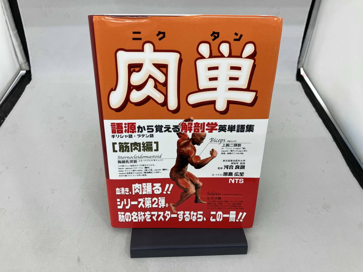 概要）3D踊る肉単