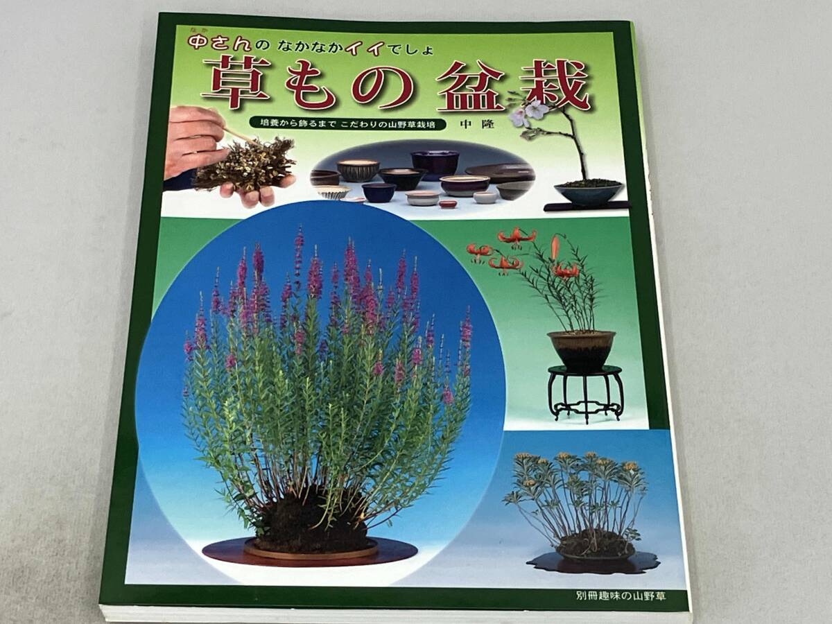 2025年最新】Yahoo!オークション -盆栽(本、雑誌)の中古品・新品 2025年最新】Yahoo!オークション -盆栽(本、雑誌)の中古品・新品