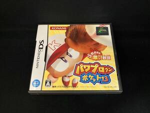 ニンテンドーDS パワプロクンポケット13