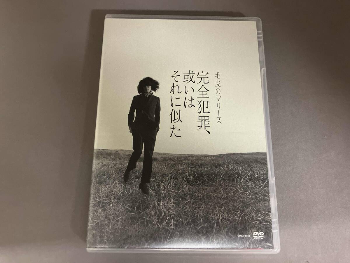 毛皮のマリーズ 「EARLY FILM」 限定復刻 非売品DVD 毛皮のマリーズ 「EARLY FILM」 限定復刻 非売品DVD(ティン