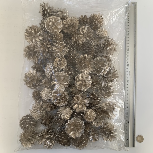 松ぼっくり プラチナシルバー 約680g