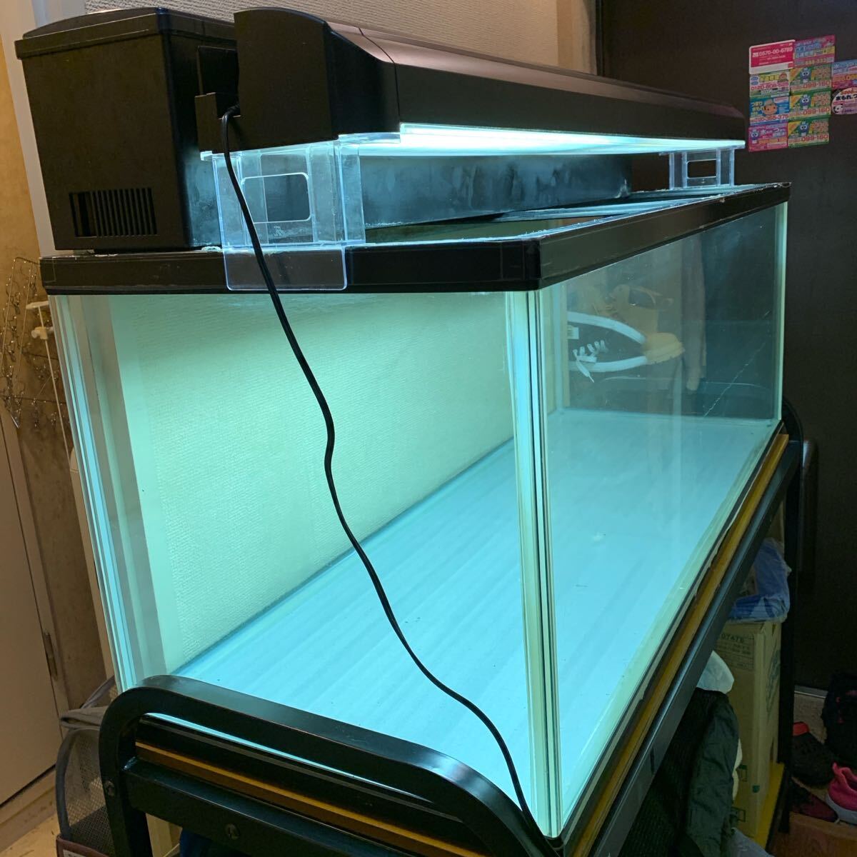 2025年最新】Yahoo!オークション -1200水槽(魚、水草)の中古品