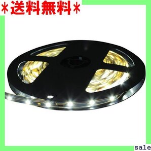 ☆人気商品 Kaito Denshi 海渡電子 LEDテープライト 両端子 1チップ 薄型 非防水 単体 500cm 白色 12