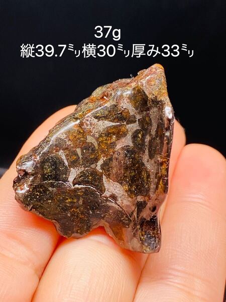 パラサイト隕石 37g 隕石 石鉄隕石 てメテオライトジャパン コーティング済み セリコ隕石