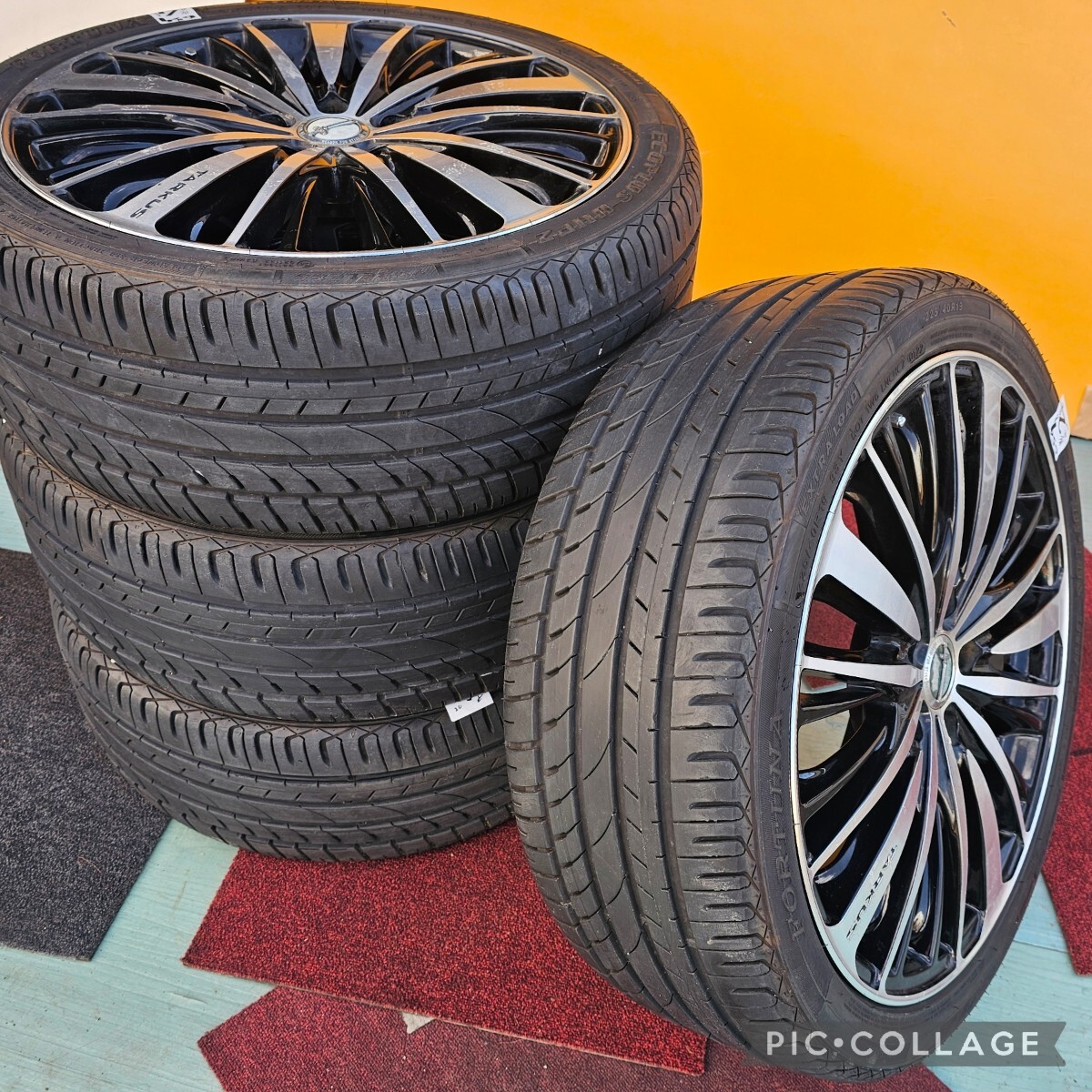 2025年最新】Yahoo!オークション -ロクサーニ タルカス 19の中古