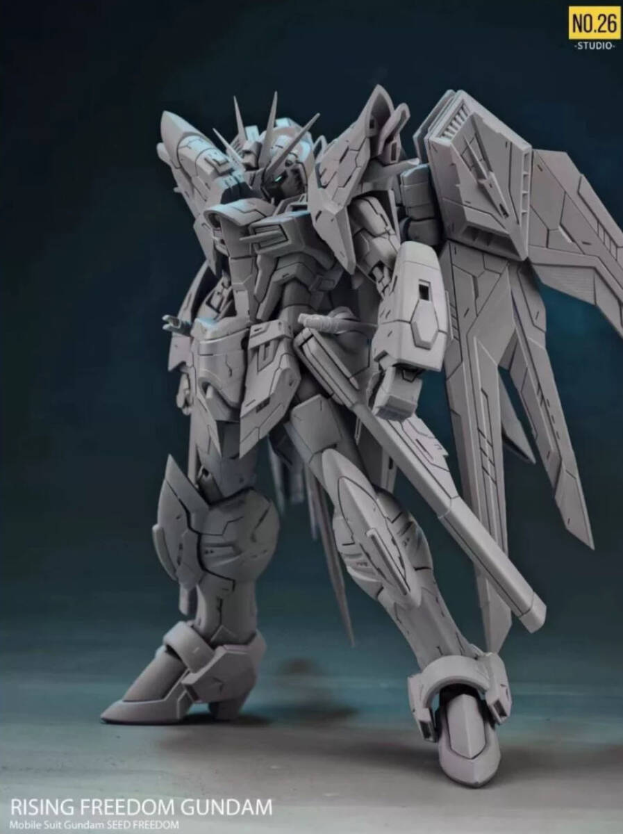 2025年最新】ライジングフリーダム プラモデル 機動戦士ガンダム 2025年最新】ライジングフリーダム プラモデル 機動戦士ガンダム