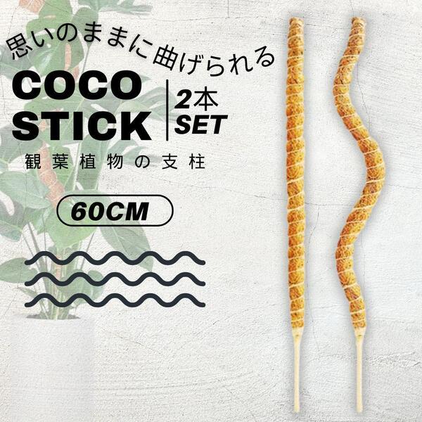 観葉植物モンステラ 支柱 ヘゴ支柱つる性植物 ココスティック 60cm 2本 植え替え ポトス 添え木