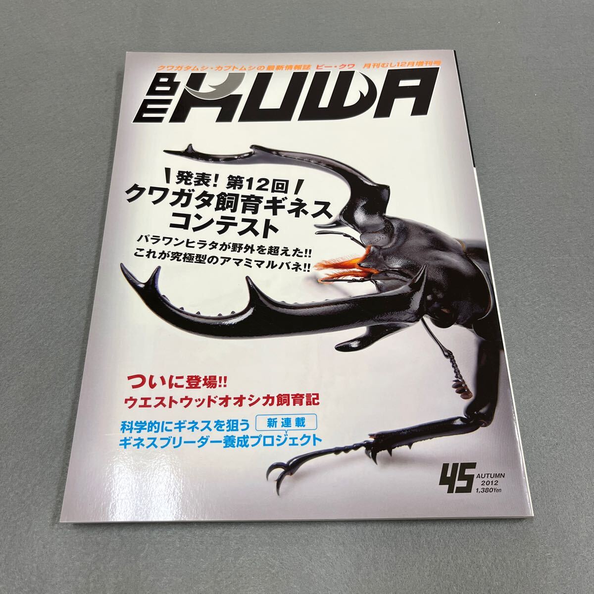 ビークワ　まとめ売り BE-KUWA一覧