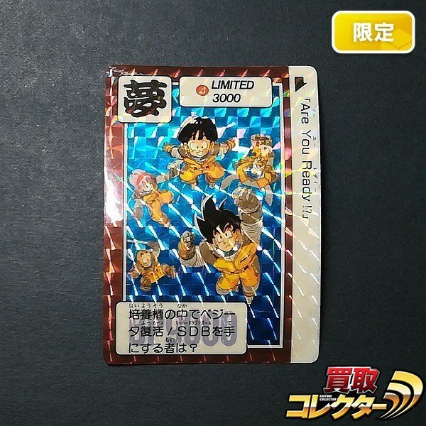 Yahoo!オークション -「限定3000」(ドラゴンボールカードダス Yahoo!オークション -「限定3000」(ドラゴンボールカードダス
