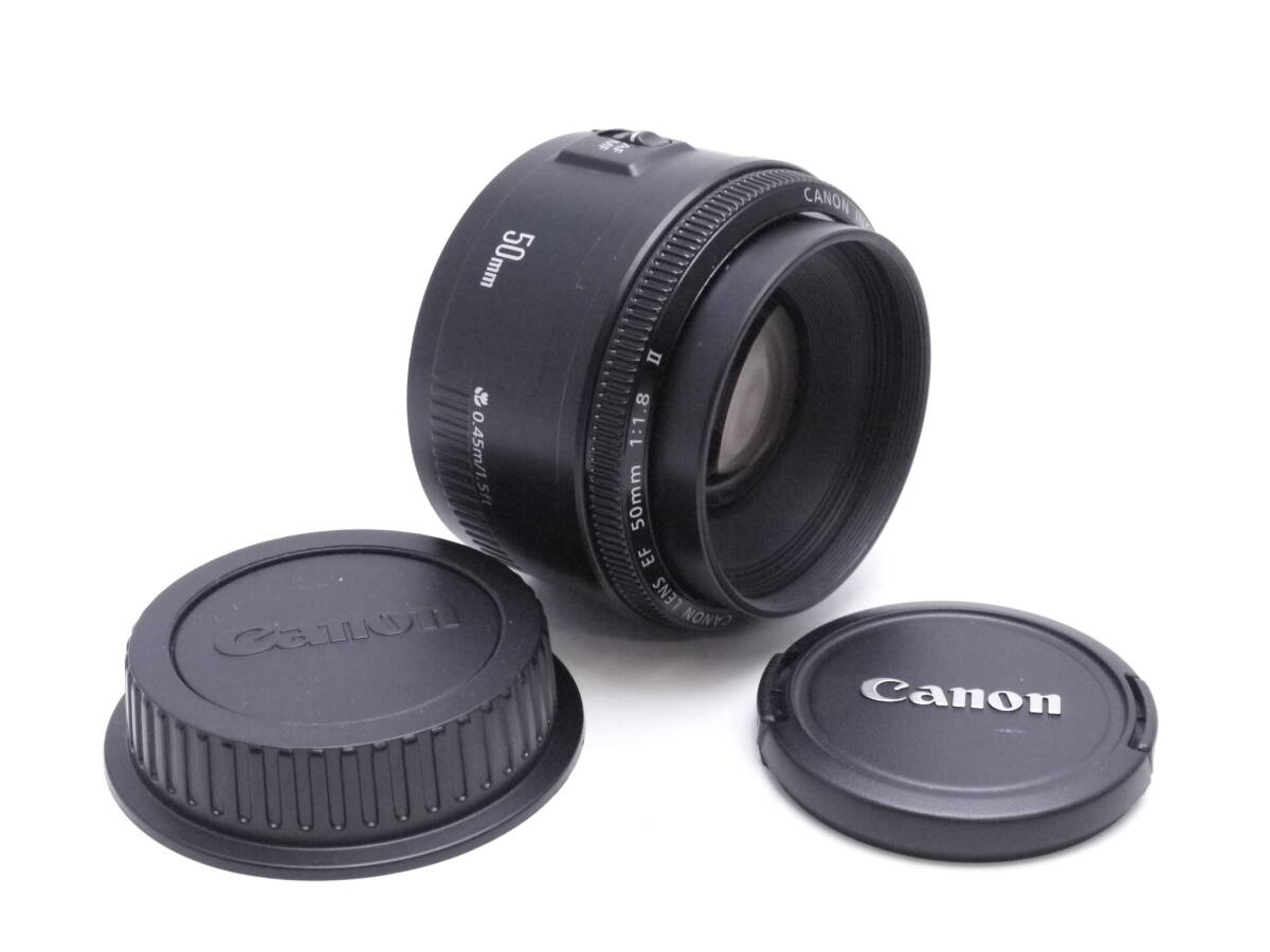 2025年最新】Yahoo!オークション -canon f1の中古品・新品・未 2025年最新】Yahoo!オークション -canon f1の中古品・新品・未