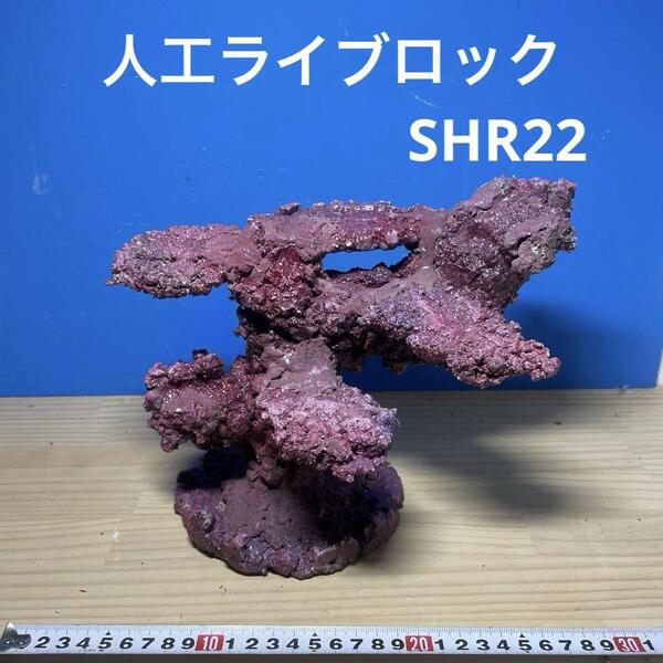 人工ライブロック SHR22 アク抜き済み安心塗料使用