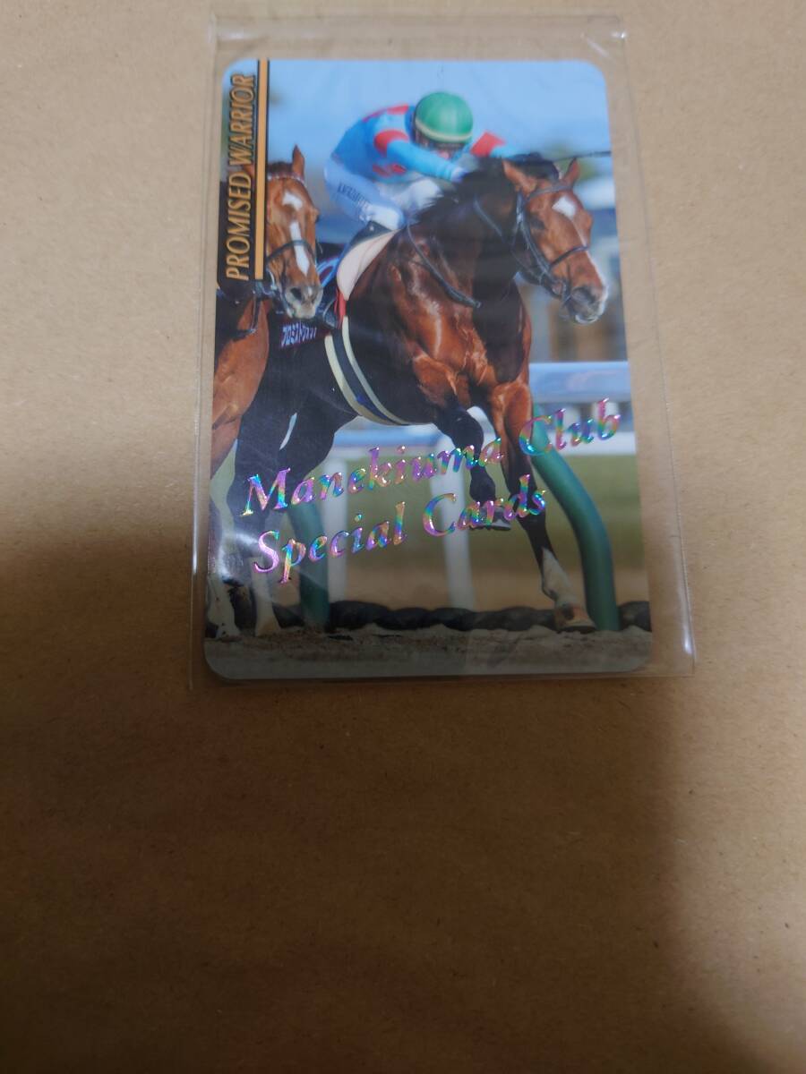競馬 ヨカヨカ レインボーカード15枚限定 Yahoo!オークション -「レインボーカード 馬」の落札相場・落札価格