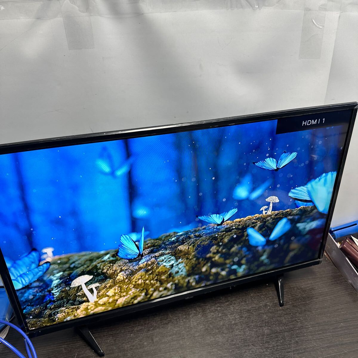 2025年最新】Yahoo!オークション -アズマ(テレビ)の中古品・新品 2025年最新】Yahoo!オークション -アズマ(テレビ)の中古品・新品