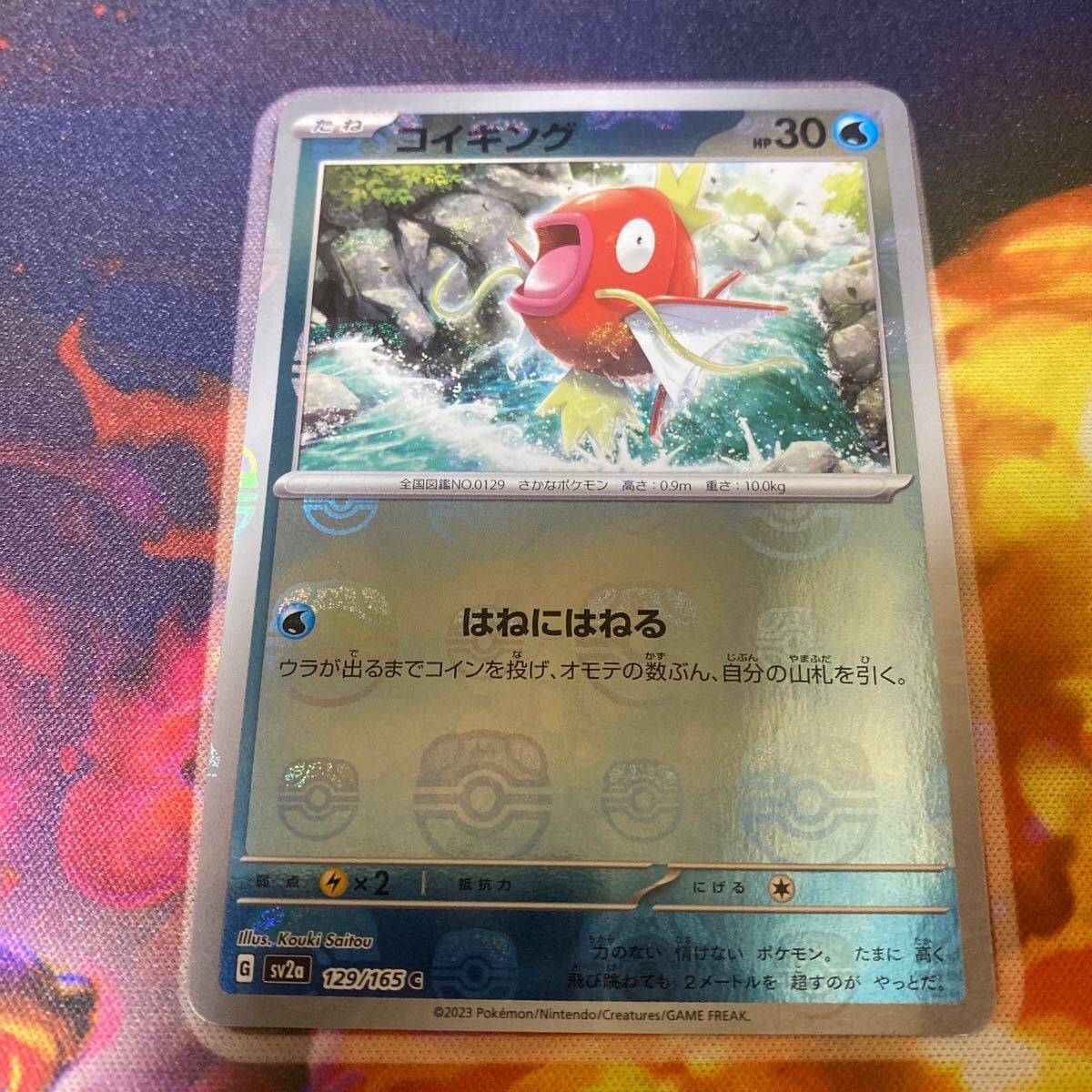 2025年最新】Yahoo!オークション -ポケモンカード コイキングの 2025年最新】Yahoo!オークション -ポケモンカード コイキングの