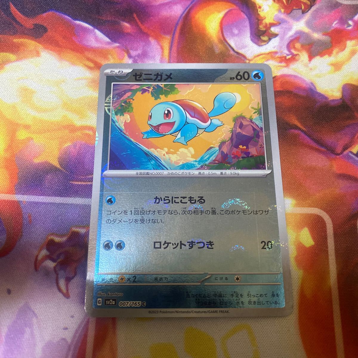 Yahoo!オークション -「ポケモンカードゼニガメ Yahoo!オークション -「ポケモンカードゼニガメ