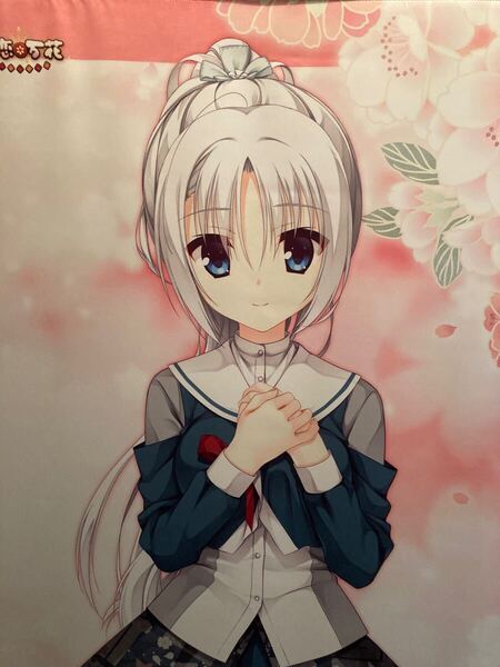 千恋万花 朝武芳乃 等身大タペストリー ゆずソフトショップ 2