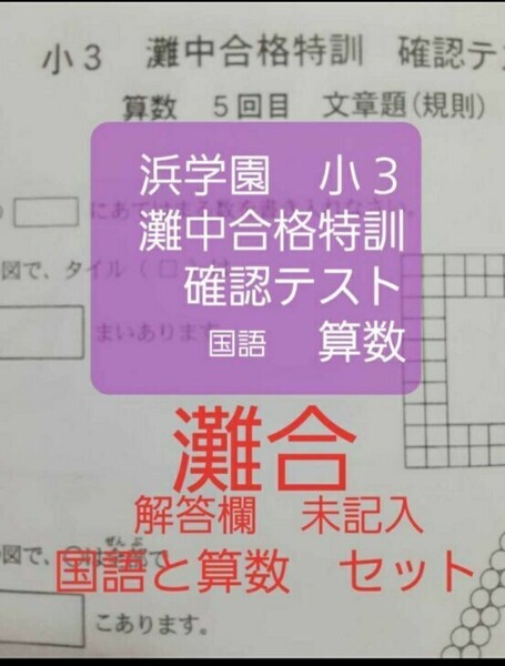 浜学園 小3 灘中合格特訓 確認テスト 国語算数 一年分 未記入
